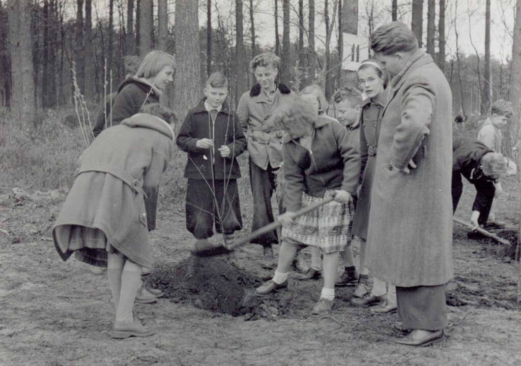 Zwart-witfoto uit de jaren '50 of '60 waarop een meisje onder het toeziend oog van andere kinderen en een volwassen man een boom plant